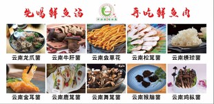 菌菇虫草