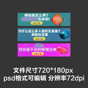 水族观赏鱼彩色扁平海报轮播