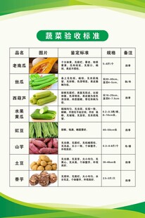 蔬菜验收标准