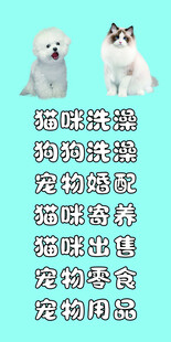 狗 猫 