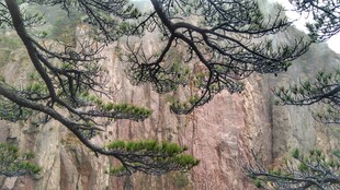 巍峨的安徽黄山自然风景图片