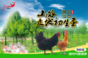 鸡蛋包装盒