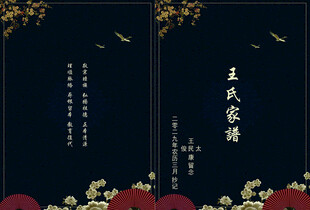 家谱 族谱封面