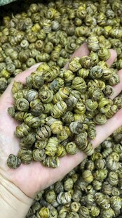 铁皮石斛