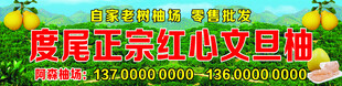 红心文旦柚