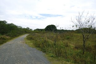 小路