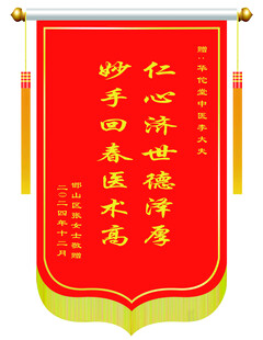 送中医锦旗 