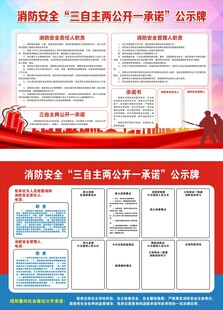 三自主两公开一承诺