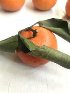 桔子 橘子