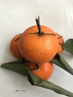 桔子 橘子