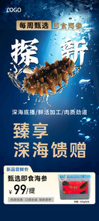 海参海报 海参单图