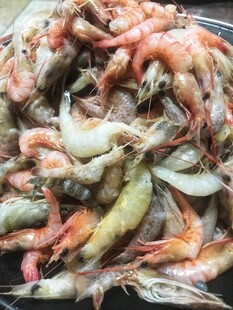 海虾
