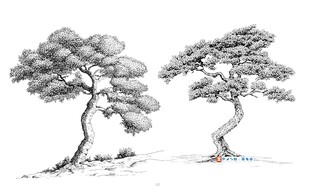 树线稿素材