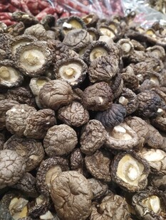 干香菇
