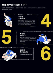 巴西柔术动作图解