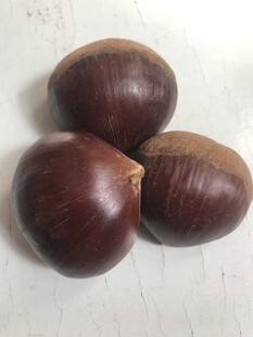 板栗