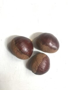 板栗