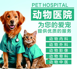 动物医院