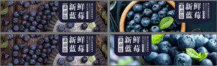 蓝莓 水果 招牌