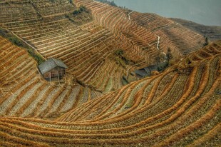 梯田图片 
