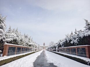 雪景  下雪的路