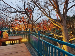 开封市万岁山武侠城夜景