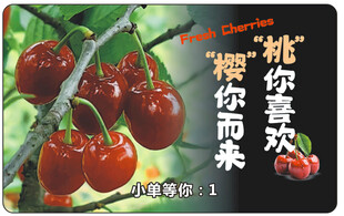 樱桃标签贴纸