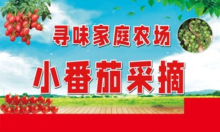 采摘