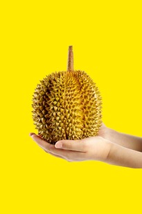 榴莲