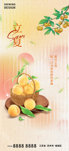 立夏海报