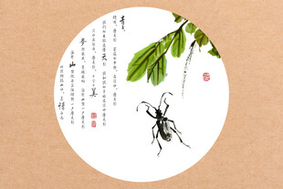 水墨虫子 虫趣