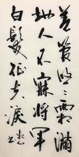 白发征夫泪