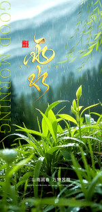 雨水 二十四节气