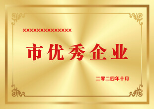 企业奖牌