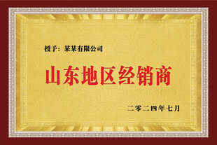 企业奖牌
