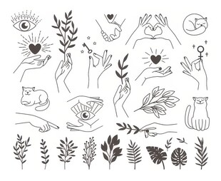线描手绘花卉宠物插画