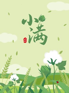 小满 二十四节气 棉花