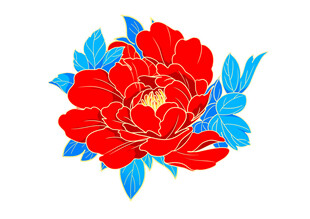 牡丹花