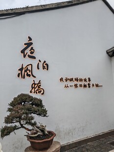 枫桥夜泊