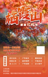 海报 价格表 福利