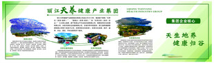 集团背景