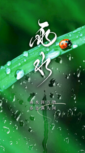 雨水海报