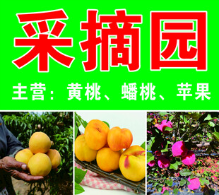 采摘园