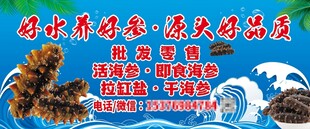 海参