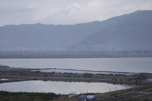 霞浦滩涂