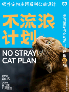 保护动物海报