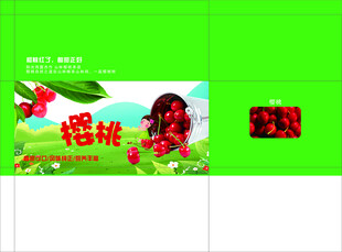 樱桃包装 平面展开图