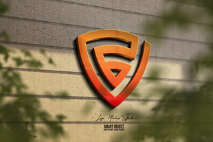logo样机
