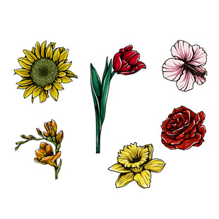 花朵插画