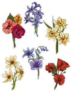花朵插画